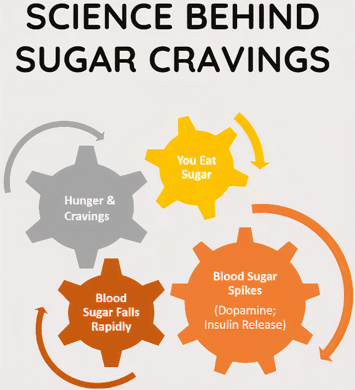 How Sugar Affects Your Brain: The Science Behind Sugar Cravings