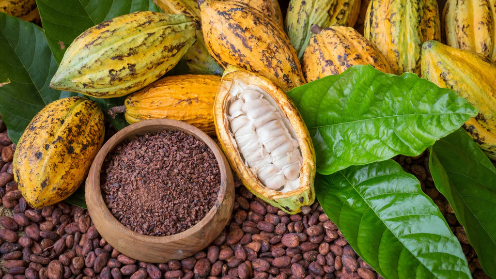 What Is Nacional Cacao, Why It’s in Danger, and How We Can Save It from Extinction