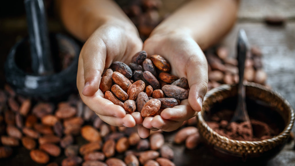 Is Aging Chocolate Essential or Simply Unnecessary?