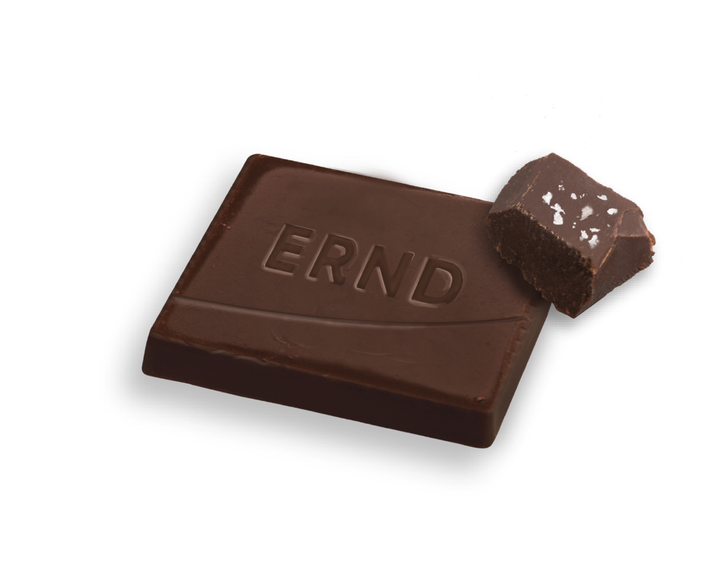 Sea Salt Dark Chocolate Bites (7 oz) - ERND Snacks