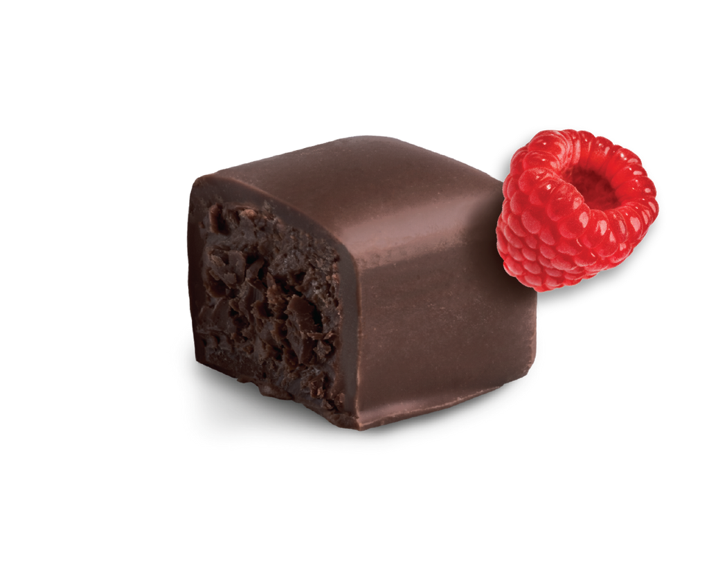 Raspberry Dark Chocolate Truffles (7 oz) - ERND Snacks