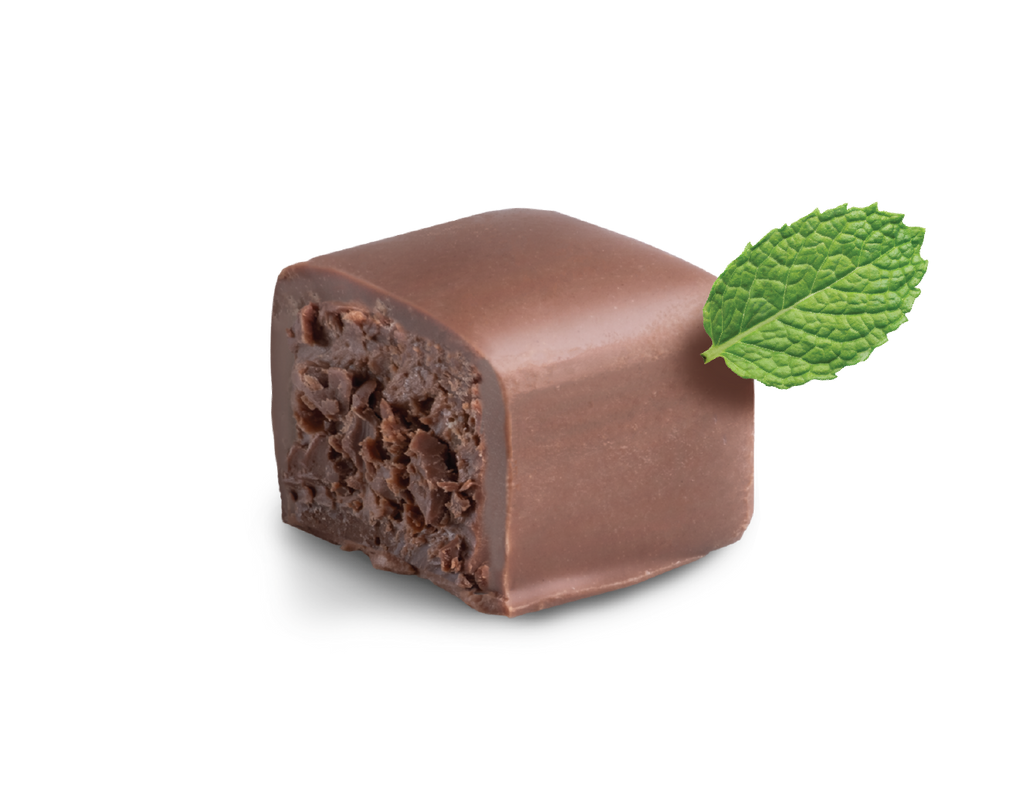 Mint Milk Chocolate Truffles (7 oz) - ERND Snacks
